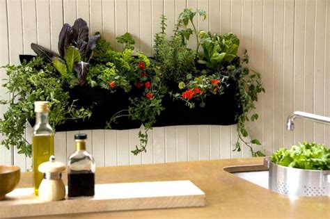 Vertical Herb Garden Kitchen