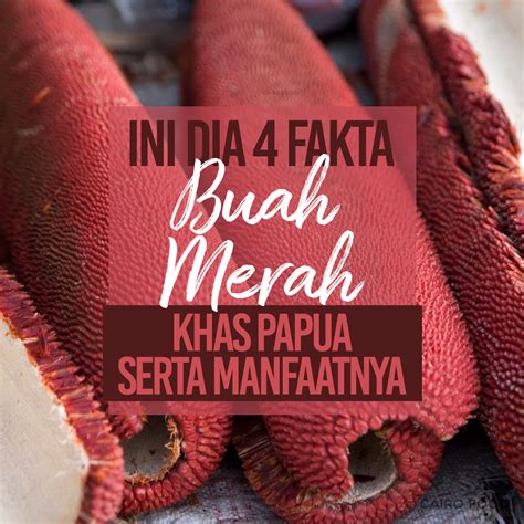 Buah Khas Papua Ilmu