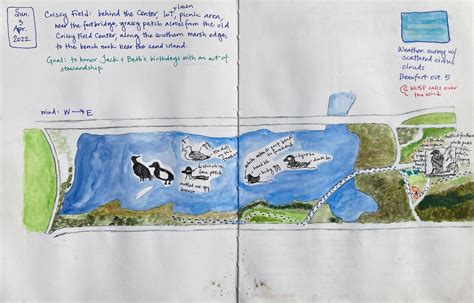 What is Nature Journaling? — Wild Wonder Foundation 