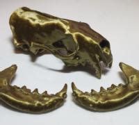 "mink skull" 3D Models to Print - yeggi