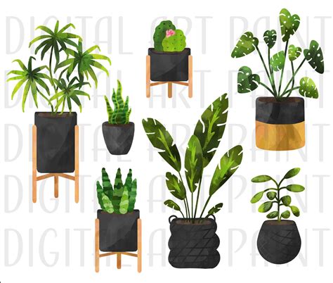 Watercolor House Plants Clipart Home Greenery Plant Graphics Etsy