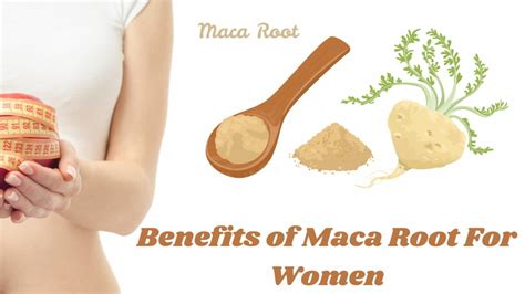 What Are The Benefits Of Maca Root For Women