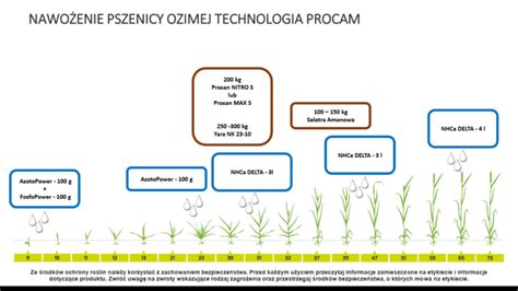 Wiosenne Nawo Enie Rzepaku I Zb Ozimych Jak Zaplanowa