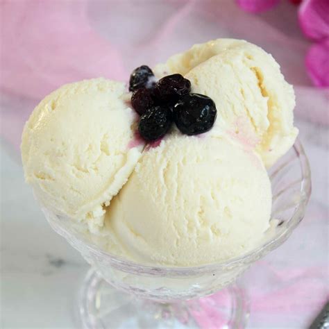 Frozen Yogurt Recipe - Culinary Shades