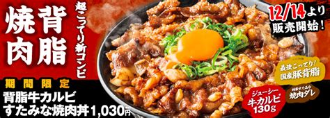 伝説のすた丼 Newcom （ニューコム）