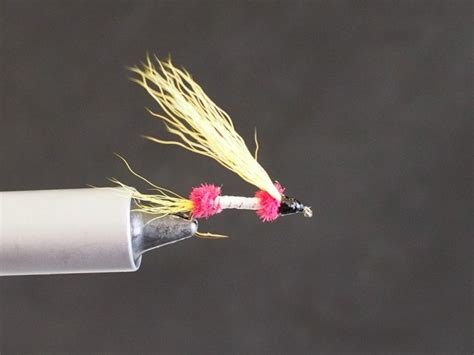 The Royal Shad Fly Shad On The Fly