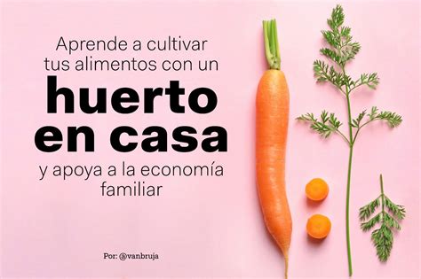 C Mo Hacer Un Huerto En Casa Aqu La Gu A Paso A Paso Emprendedor