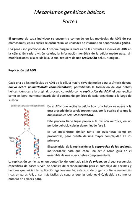 Resumen Mecanismos Geneticos Basicos I Mecanismos genéticos básicos