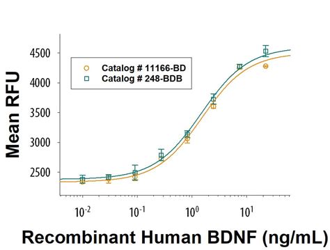 Recombinant Human Bdnf Protein Cf Bd R D Systems