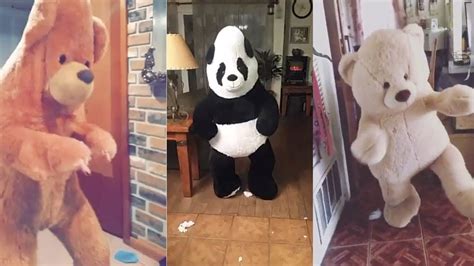 The Newest Viral Trend Dancing Giant Teddy Bears Youtube