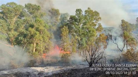 Controlado Un Incendio Forestal En El T Rmino De And Jar