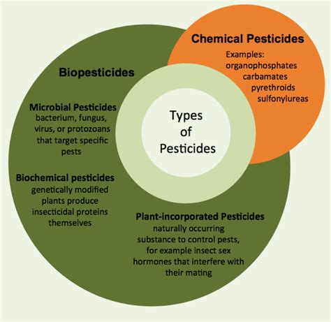 Gmos And Pesticides Helpful Or Harmful Science In The News