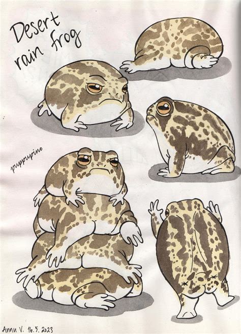 Desert rain frog by NuudeliPannu on DeviantArt