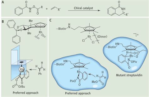 科学网—science新文：手性环戊二烯配体的催化功能 谢志刚的博文