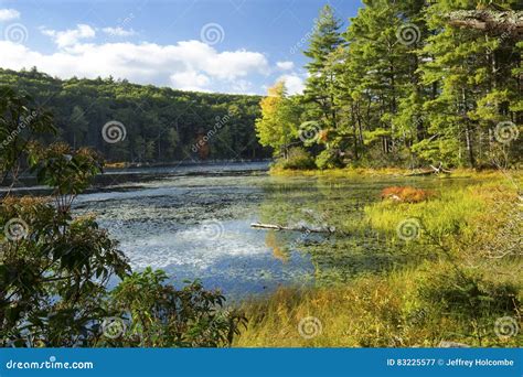 Woods At Breakneck Pond In Early Fall Foliage In Connecticut Stock