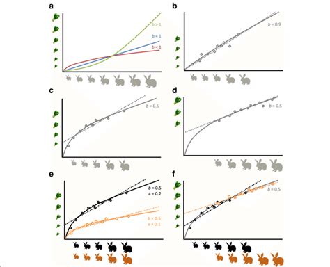 Conceptual Plots For Allometric Relationships A Three Different Types