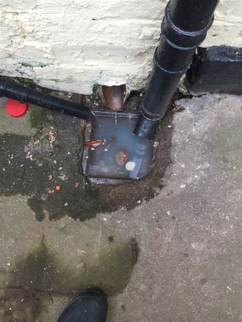 Mersey Rod Limited Company: Drain Blockage – Signs of Blocked Drainage ...