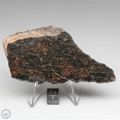 Nwa 1465 Meteorite 1465 56 The Meteorite Exchange Inc