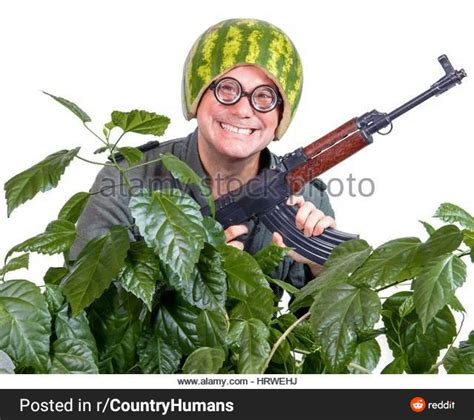 Can you identify the gun in the cursed stock image : r/Guns_Guns_Guns