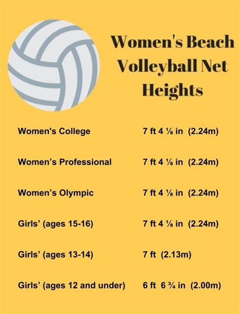 Altura Rede Feminina Volei