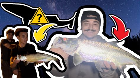 South Florida Night Fishing Mission Insane Snook And Tarpon Action