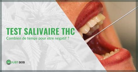 Test Salivaire THC Combien De Temps Pour Etre Negatif