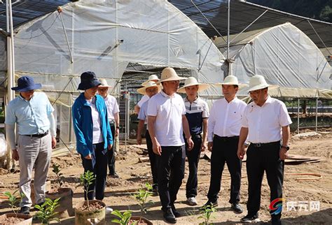 省农业农村厅调研组来庆指导灾后恢复生产及农业产业发展