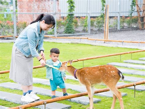 宜蘭張美阿嬤農場：張美阿嬤農場位於宜蘭縣三星鄉，農場在戶外打造400坪的日式庭園彷彿置身在奈良，在這裡讓你不用出國在這裡就能近距離與梅花鹿相處