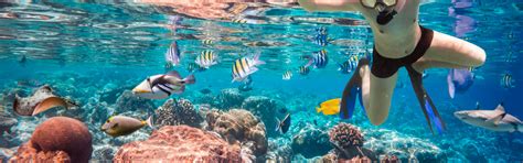 Snorkeling in Punta Cana - Boujee DR Rentals & Tours