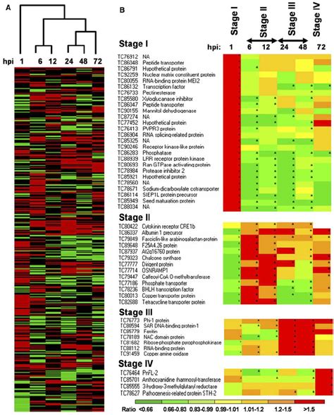 Clustering Of Time Points Based On Gene Expression Profiles And