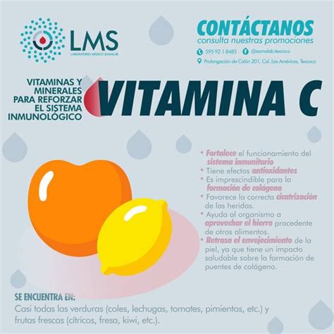 Vitaminas y Minerales para Reforzar el Sistema Inmunológico Vitamica C