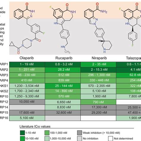 Chemical Structures And Known Parp Activities Of Fda Approved Parp