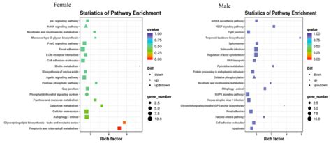 Effects of α Methyltestosterone on the Transcriptome and Sex Hormones