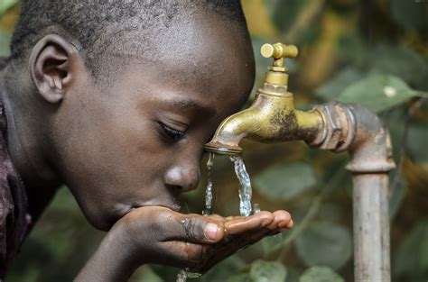 Does Drinking Water Make You Lose Weight? | Life Health Fitness
