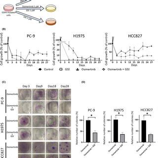 The Combination Of Osimertinib And Gsi Produces Strong Synergistic