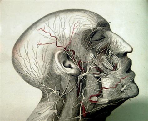 Brain Tumor Early Symptoms | Livestrong.com