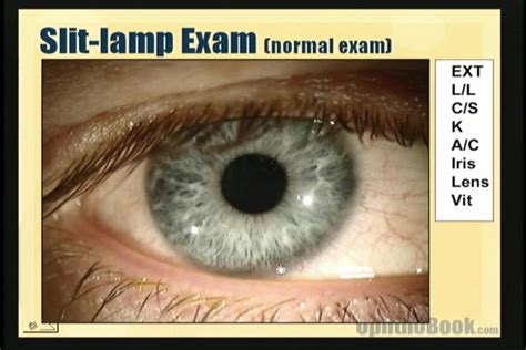 History And Physical Of The Eye Video Timroot