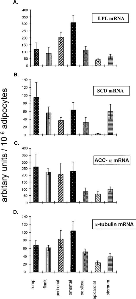 Expression Of Lipogenic Enzyme Genes In Adipose Tissue Depots 20 ␮ G Download Scientific