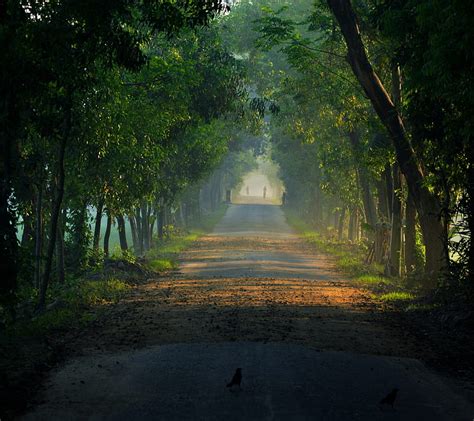 Beautiful Bangladesh Bangladesh Bonito Bengal Carzon Nature