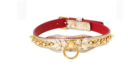 TOP +10 Most Expensive Dog Collars - [2023 UPDATED] – Marc Petite