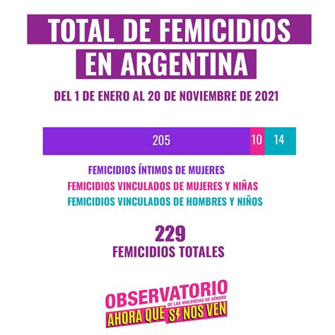 AHORA QUE SI NOS VEN Informes 229 Femicidios En 2021