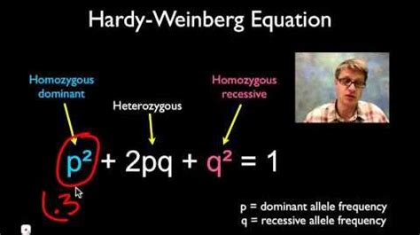 Hardy Weinberg Equilibrium | DragonflyIssuesInEvolution13 Wiki | FANDOM powered by Wikia