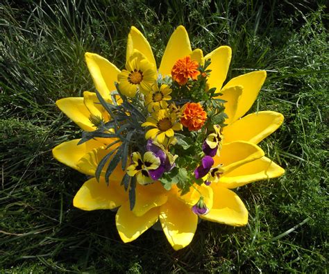 Water Lily Planter From Cement : 8 Steps (with Pictures) - Instructables