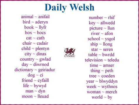 Pin By Tamara Call On Random Welsh Words Learn Welsh Welsh