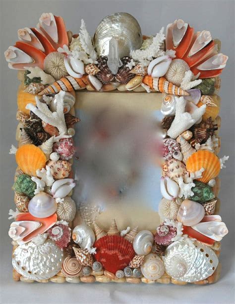 X Sea Shell Frame By Christas South Seashells