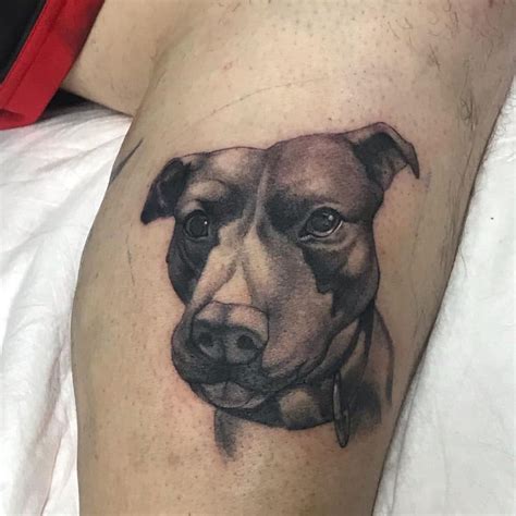 Amazing Pit Bull Tattoo Ideas You Will Love Outsons Men S