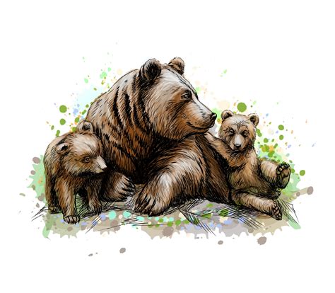 Brown Mother Bear With Her Cubs From A Splash Of Watercolor Hand Drawn