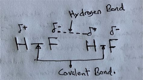 Hydrogen Bonding A Level Chemistry Youtube