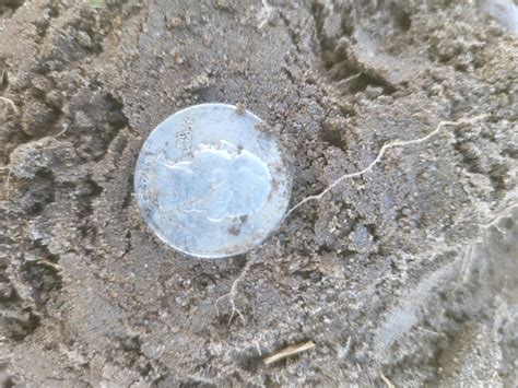 First Hunt With Manticore Update Metal Detecting For Coins Relics