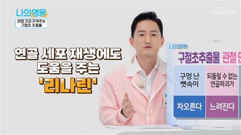 연골 세포 재생에도 도움을 주는 구절초 속 ‘리나린 Tv Chosun 221018 방송 나의 영웅 9회 Tv조선